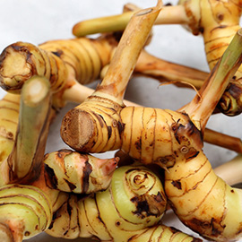 Galangal root (Thai ginger) Galangal root (Thai ginger)